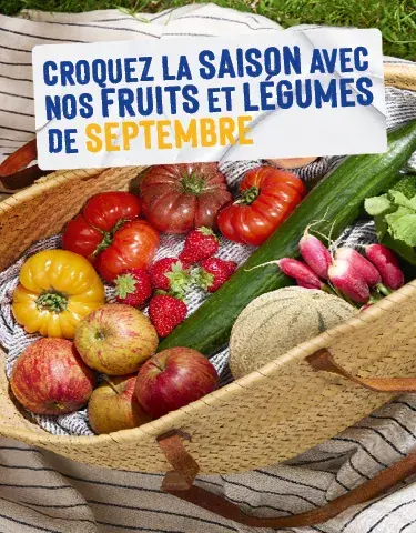Découvrez notre calendrier de saisonnalité de Septembre 2026 !